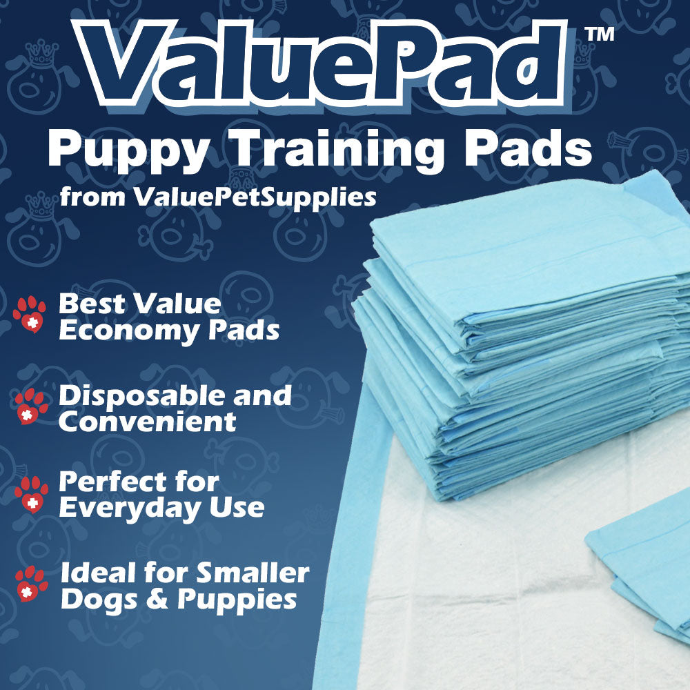 ValuePad Puppy Pads, Small 17x24 Inch, 600 Count BULK PACK - Economy Training Pads for Dogs, Leak Proof 5-Layer Design 