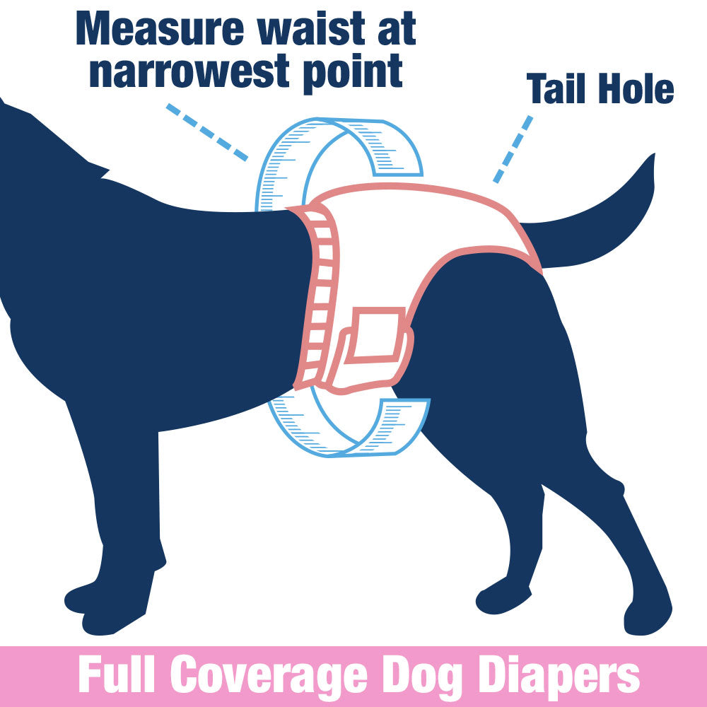 ValueFresh Female Dog Disposable Diapers, XX-Large, 288 Count BULK PACK - Full Coverage w/Tail Hole, Snag-Free Fasteners, Leak Protection, Wetness Indicator 